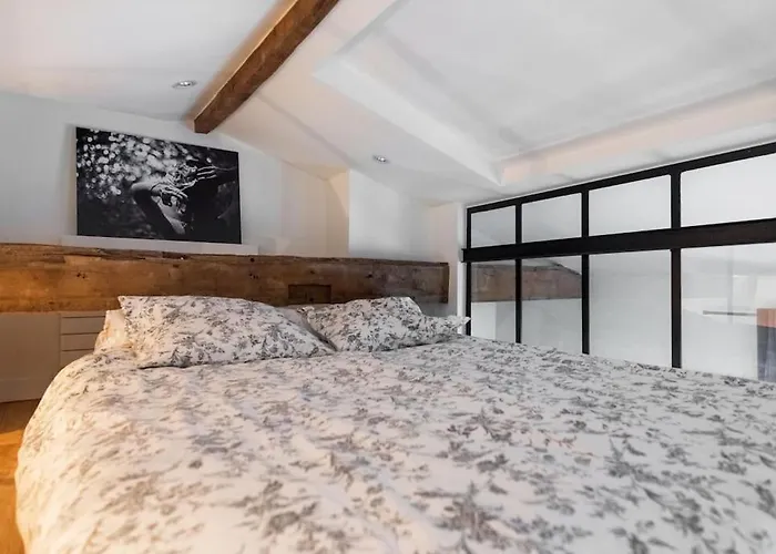 Daire Type Loft - 40m² Marais Paris